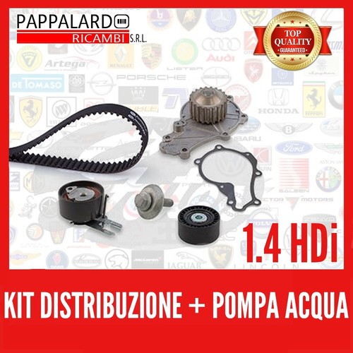 Kit distribuzione pompa - +,