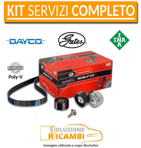 Kit cinghia servizi ford - cinghia,