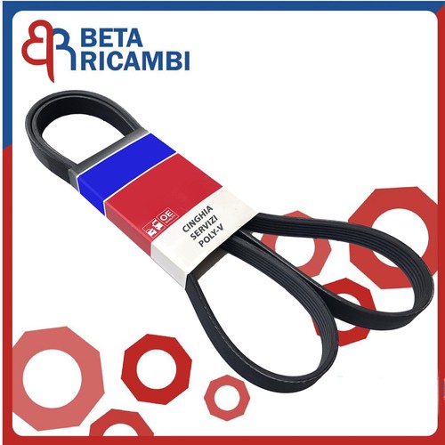 6pk1705 cinghia servizi - cinghia, ford